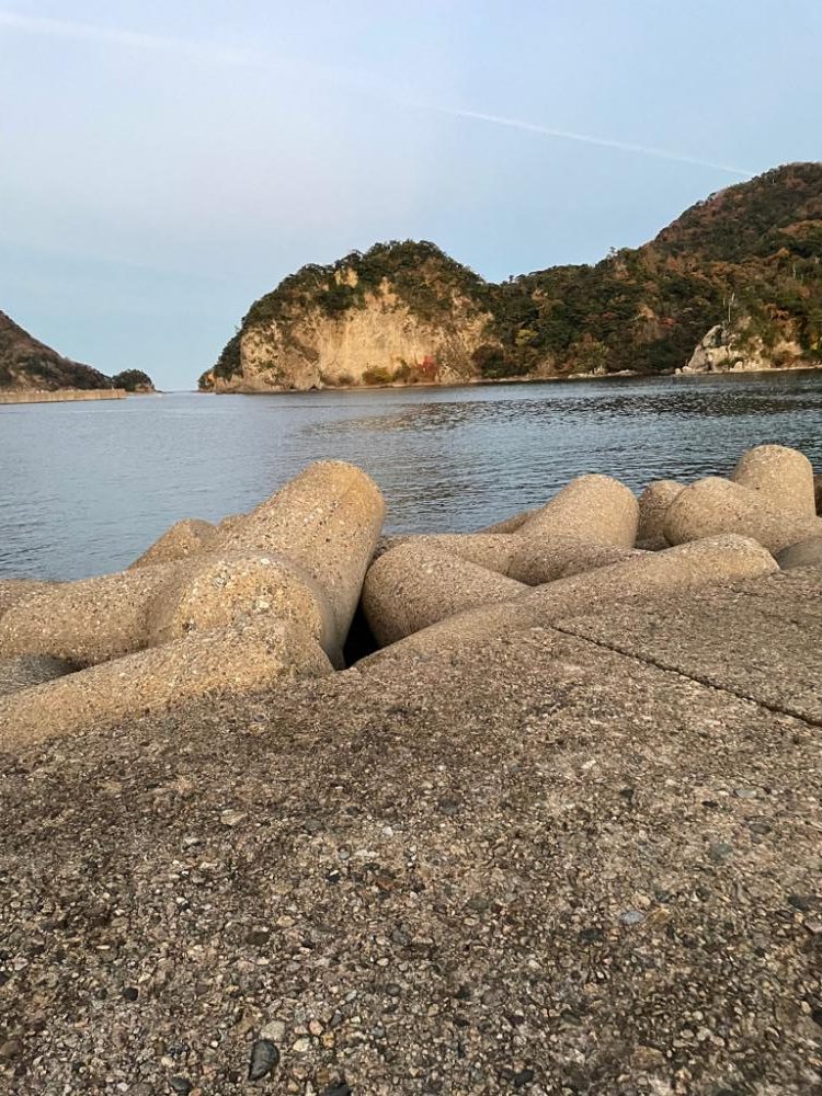 アジングシーズン 好調