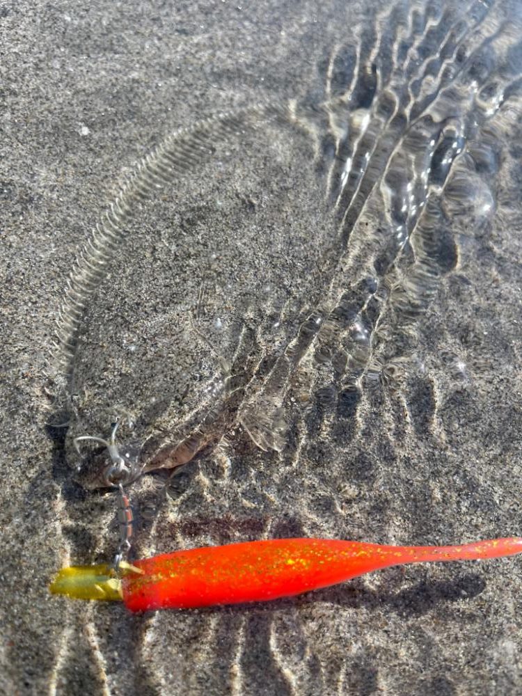 渋いときはフィネスが刺さる！