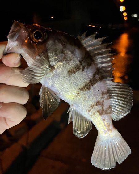 いつもの場所で♪