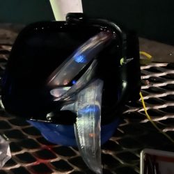 とっとパークですタチウオ狙い