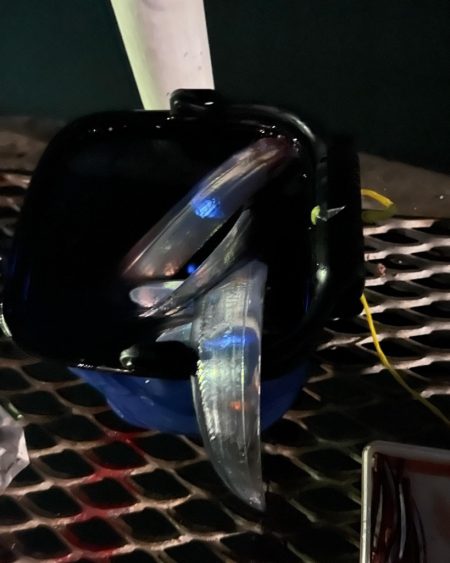 とっとパークですタチウオ狙い