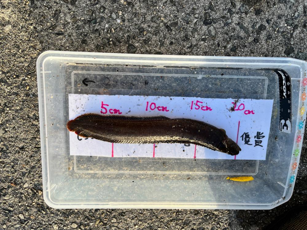 彼女が初めてのルアーフィッシング