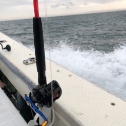 ジギングで三目達成！