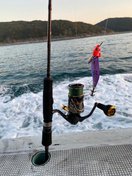 早朝ティップラン