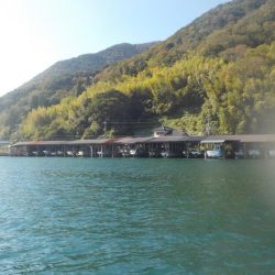 今シーズンラストかかり釣り