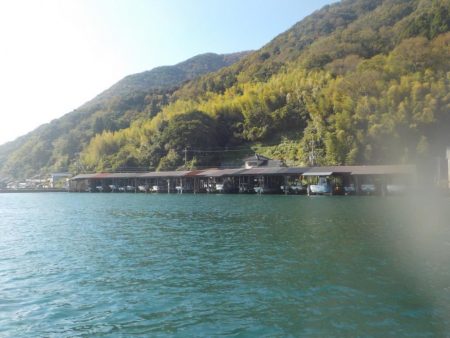 今シーズンラストかかり釣り