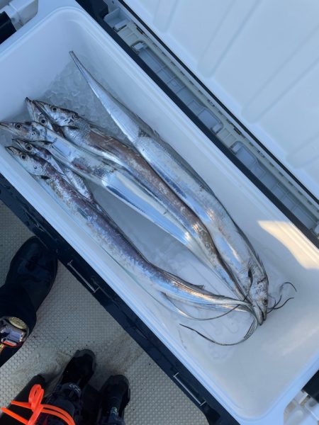 タチウオジギング