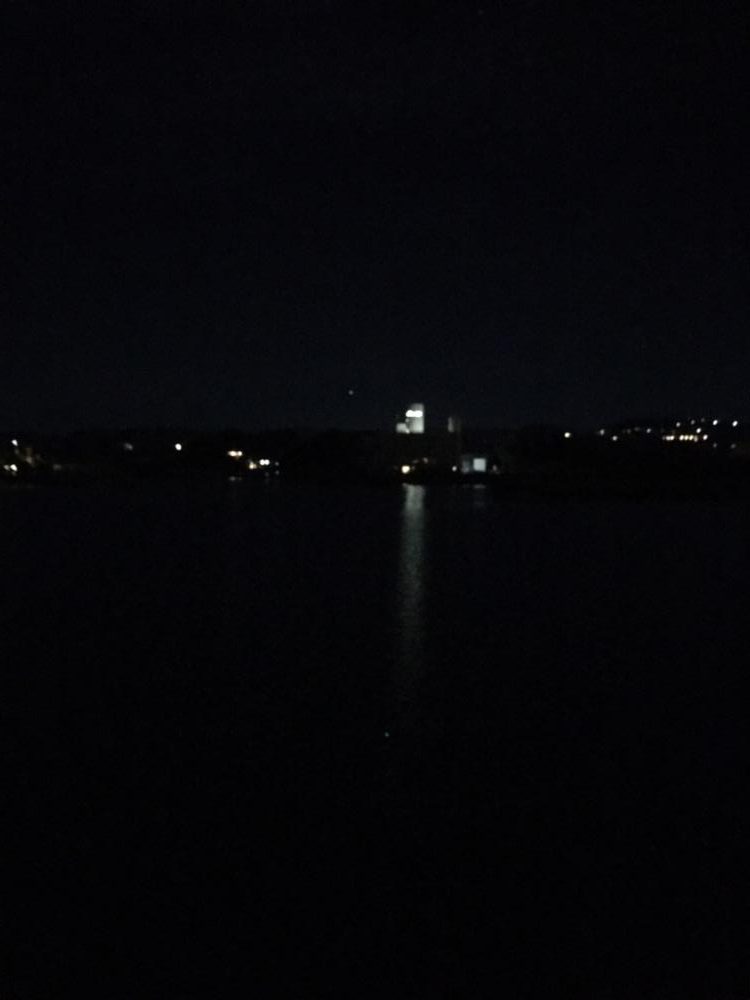 今年初の食べ頃サイズ!