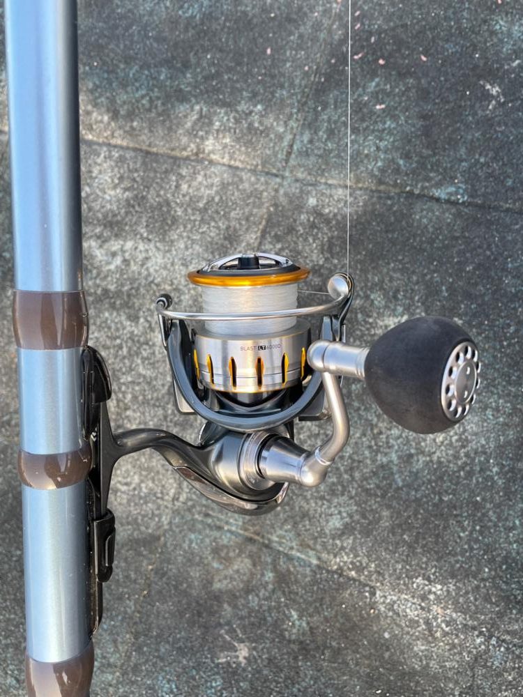 エレベーターで2本来ました🐟🐟