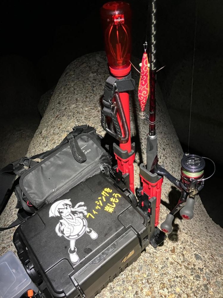 今期はラストエギング