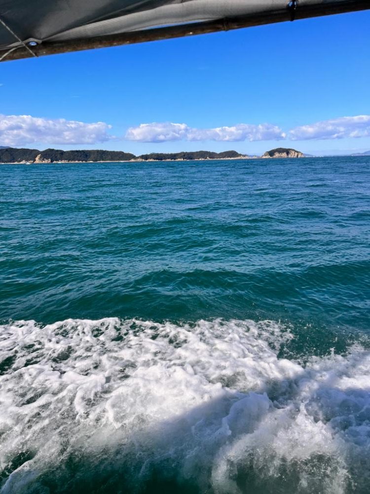 いろんな魚が釣れました