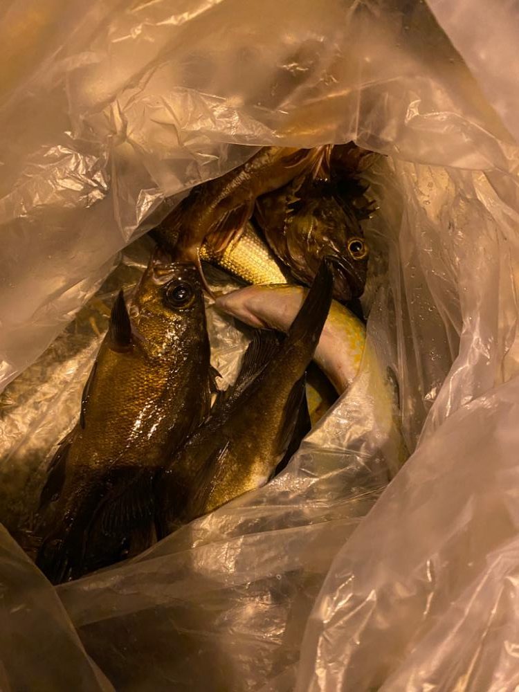 初エビ撒き　たのし！