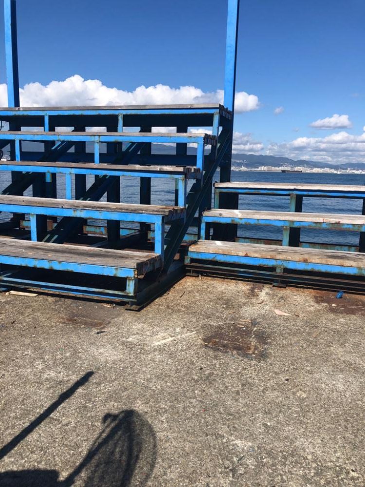 懲りずに武庫川一文字