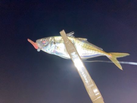 仕事帰りにアジング