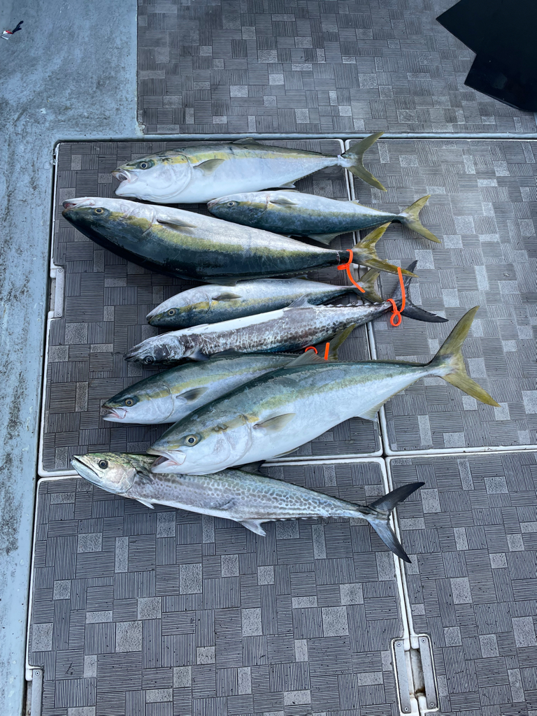 beatカップin明石