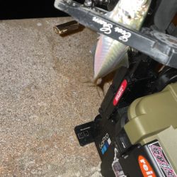 アジングナイト