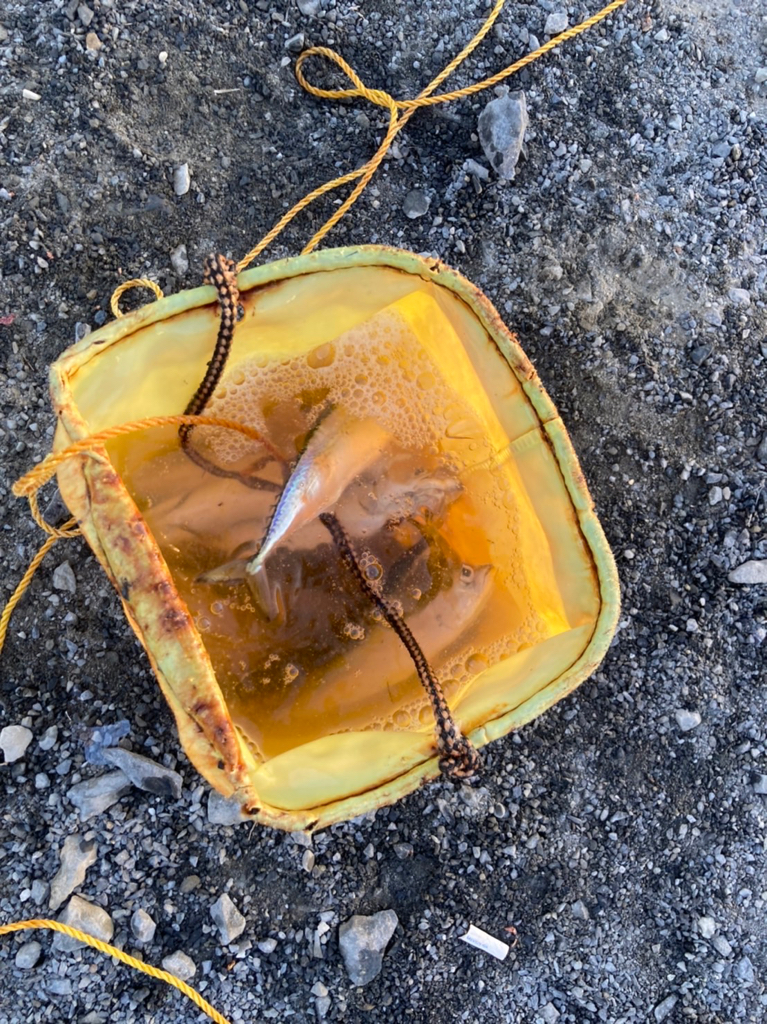 堤防フカセ釣り