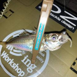 悶絶豆アジング