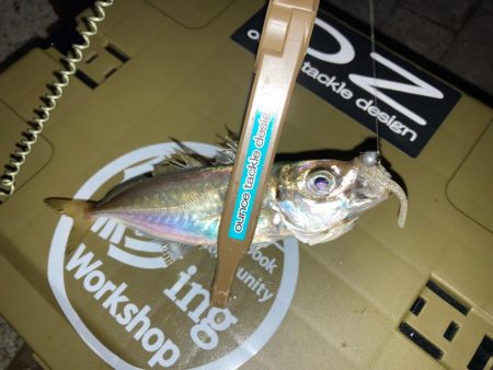 悶絶豆アジング