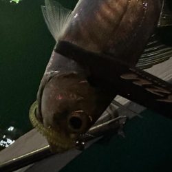 ボートアジング