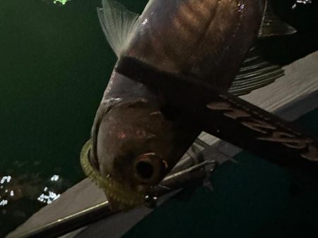 ボートアジング