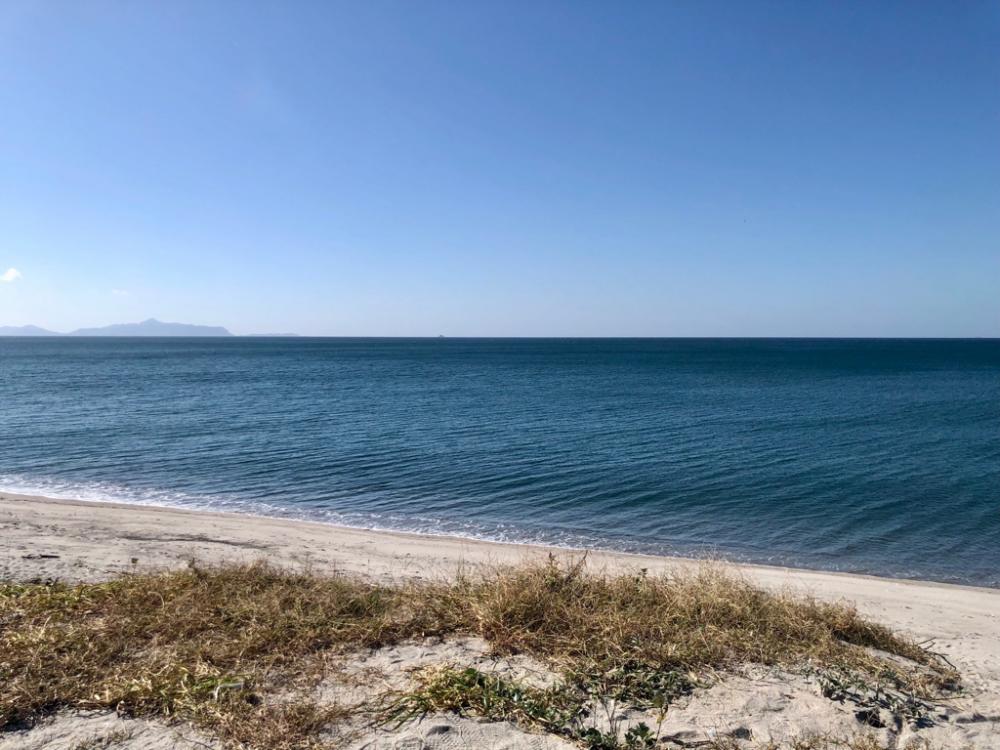 久しぶりの吹上ヒラメ