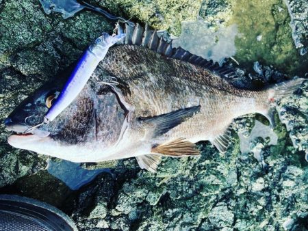 久しぶりのサラシ打ち