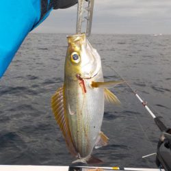 5度目の正直〜完全フカセ最高‼…