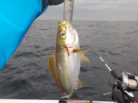 5度目の正直〜完全フカセ最高‼…