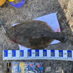 カレイ、落ちギス狙い