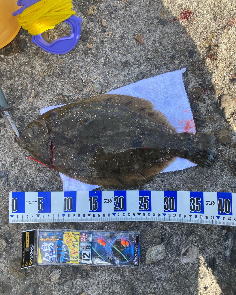 カレイ、落ちギス狙い