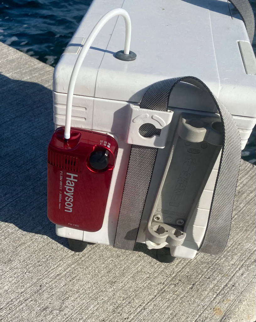 右手からの風が強く吹き