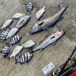 小さいアタリで掛かると強い引き