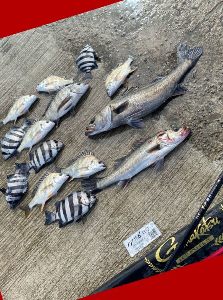 小さいアタリで掛かると強い引き