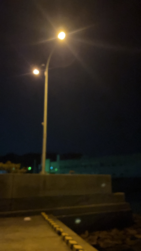 アジ狙いでアジ釣れました