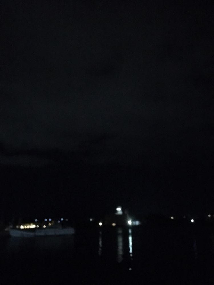 アオリイカ用のアジ釣り！