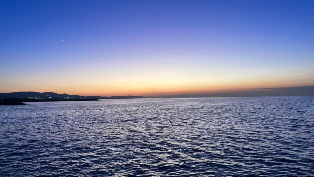 鯵を探して三千里Ver.5