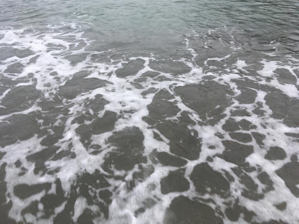 サーフヤエンにトライしたが‥。