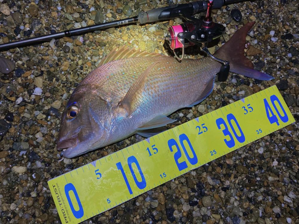 おもわね外道メバリング