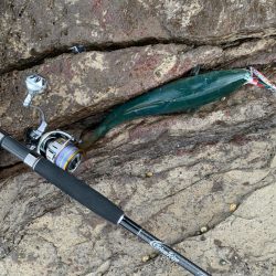 久しぶりロックショアで反省