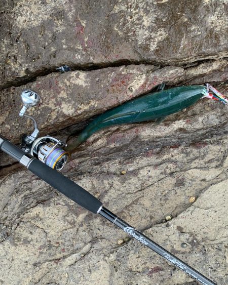 久しぶりロックショアで反省