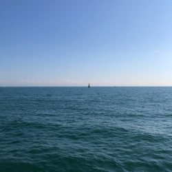 豆アジ、ボウズなし！昼間でもお土産豊富