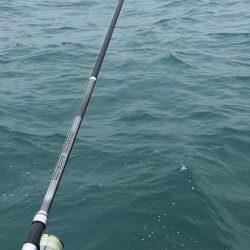 尺まで寸足らず…