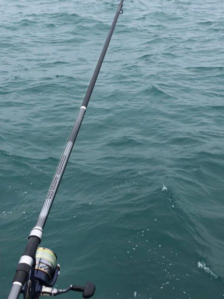 尺まで寸足らず…