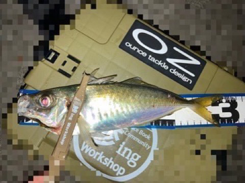 納得サイズ出ました