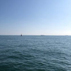 計画通りの鯵後メジロ。