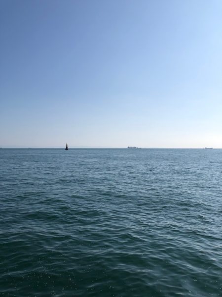 計画通りの鯵後メジロ。