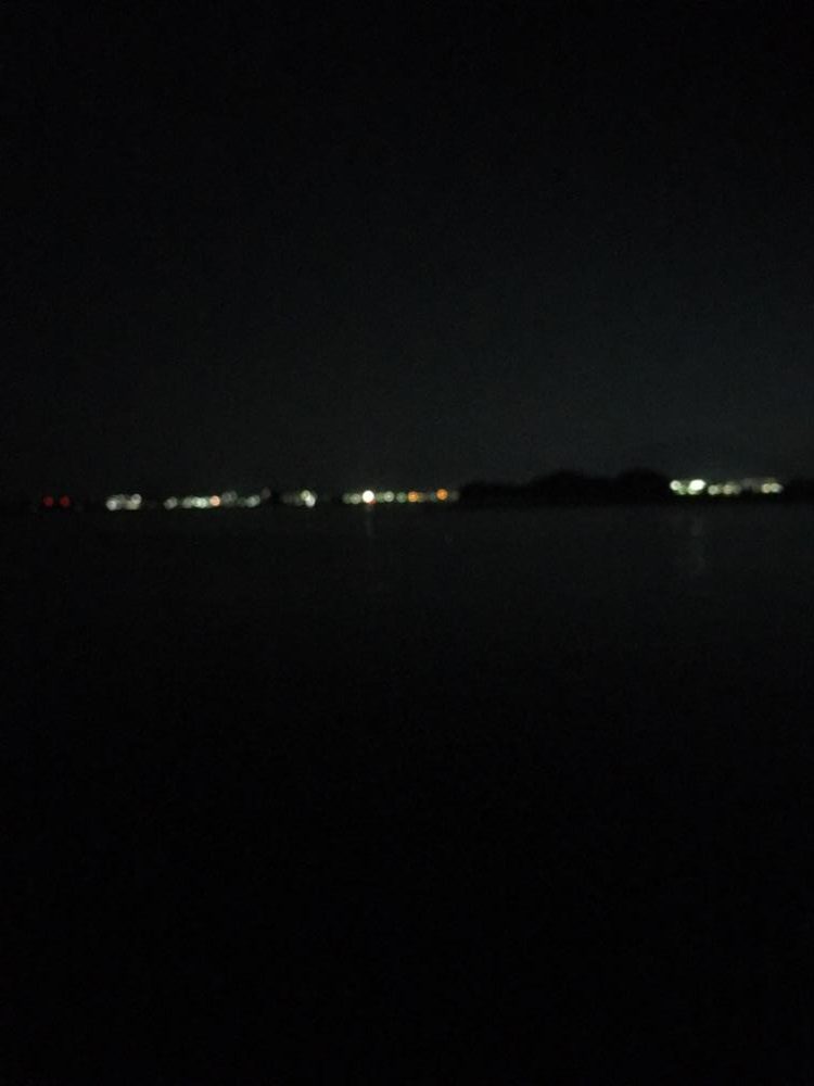 アオリイカ!結構いいサイズ!