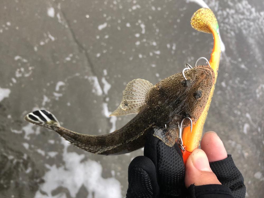 ナイトサーフ　ヒラメ