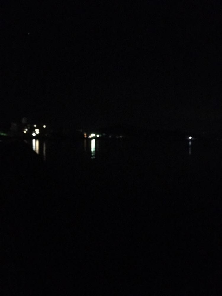 小さいアオリイカ